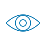 icon visionär